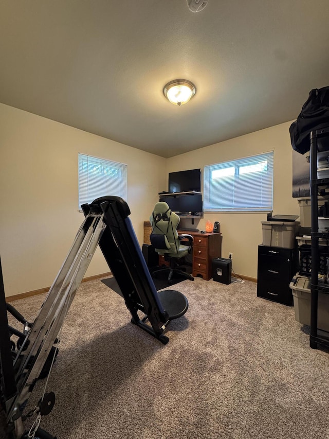 39909 Bridgeview St, Harrison Township, MI 48045 - exercise area featuring carpet floors