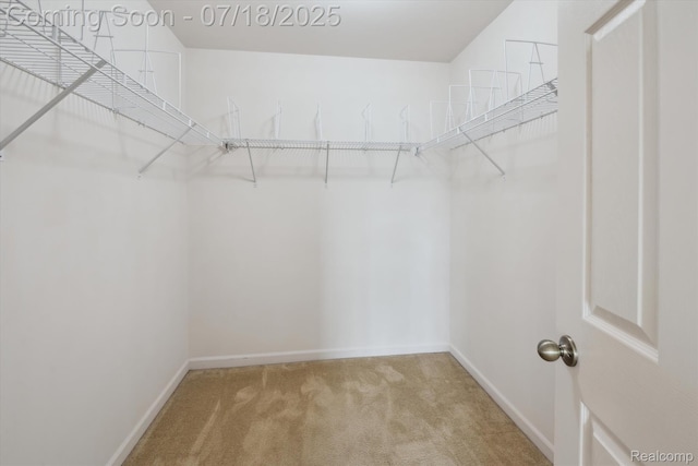 1004 Riversedge Dr, Saline, MI 48176 - photo 19