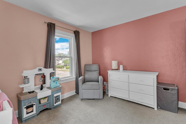 1101 W Morrel St, Jackson, MI 49203 - photo 34