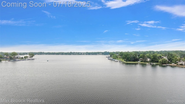 3642 Orchard Lake Rd, West Bloomfield, MI 48324 - photo 34