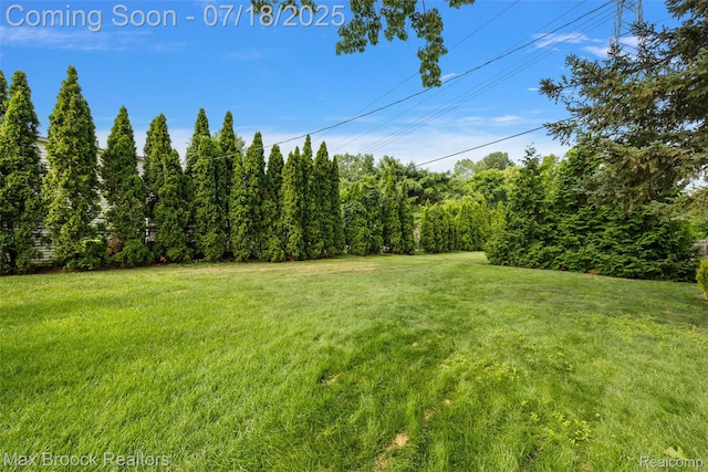 3642 Orchard Lake Rd, West Bloomfield, MI 48324 - photo 29