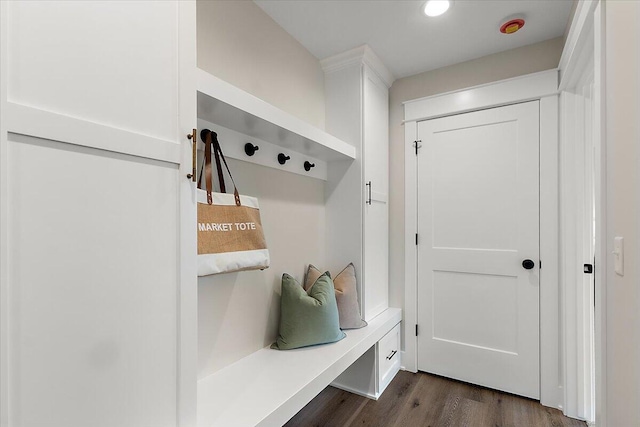 6766 Baldwin St, Hudsonville, MI 49426 - mudroom with dark wood finished floors