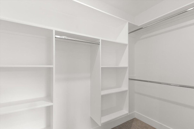 6766 Baldwin St, Hudsonville, MI 49426 - view of walk in closet
