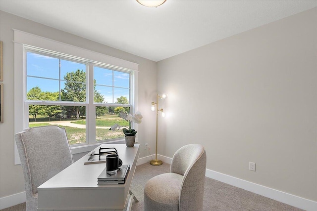 6766 Baldwin St, Hudsonville, MI 49426 - office space with light carpet