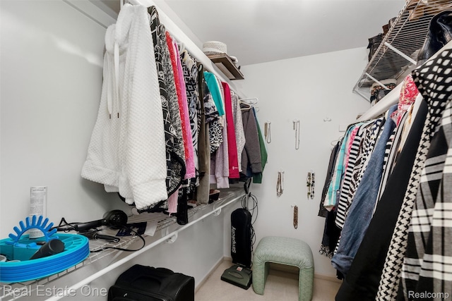1127 S Lake Dr Unit 212, Novi, MI 48377 - walk in closet with carpet flooring