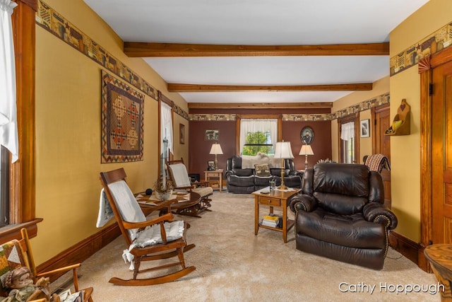 1824 Nickleplate Rd, Ionia, MI 48846 - photo 8