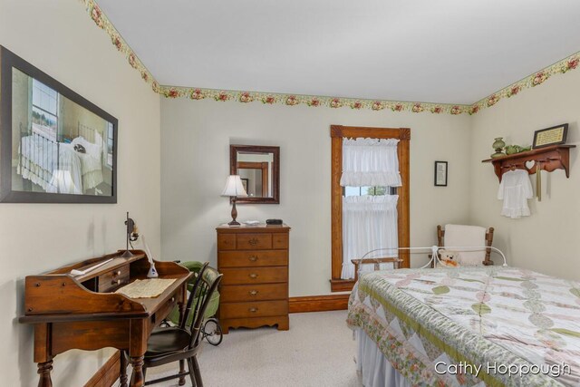 1824 Nickleplate Rd, Ionia, MI 48846 - photo 23