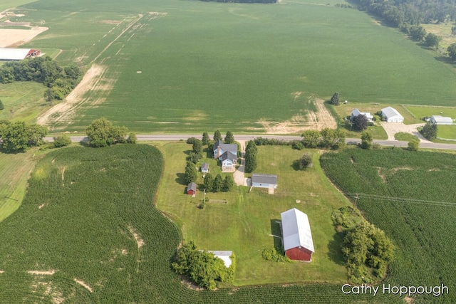 1824 Nickleplate Rd, Ionia, MI 48846 - photo 42