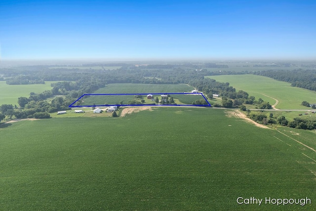 1824 Nickleplate Rd, Ionia, MI 48846 - photo 46