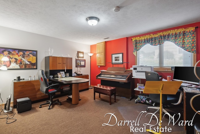 2711 Byron Station Dr SW, Byron Center, MI 49315 - home office with carpet floors and a textured ceiling
