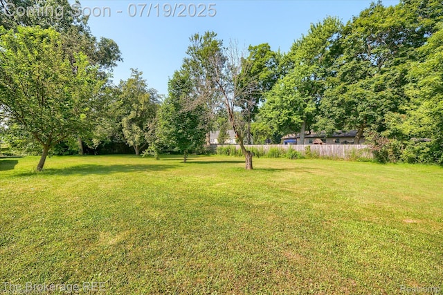 121 W S St, Morrice, MI 48857 - photo 5