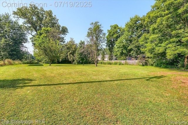 121 W S St, Morrice, MI 48857 - photo 4