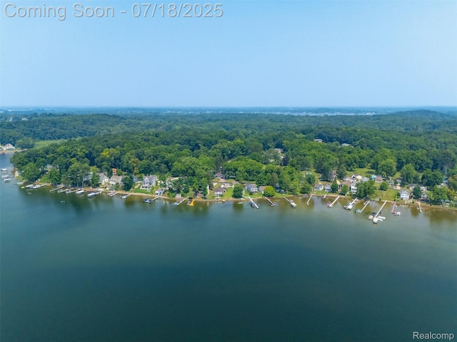 5157 Boardman St, Onsted, MI 49265 - photo 36