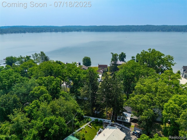 5157 Boardman St, Onsted, MI 49265 - photo 33