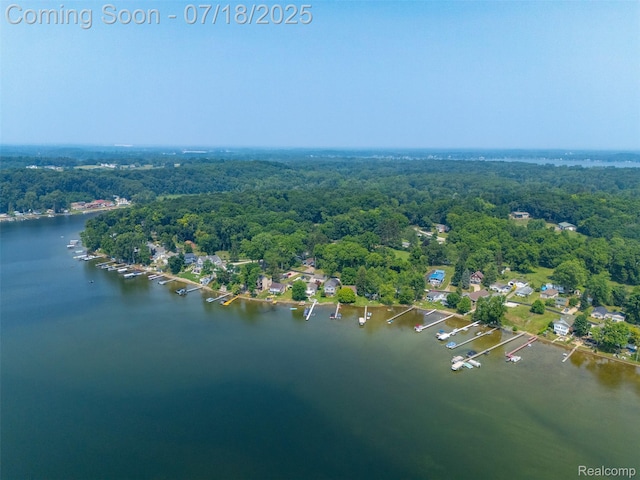 5157 Boardman St, Onsted, MI 49265 - photo 37