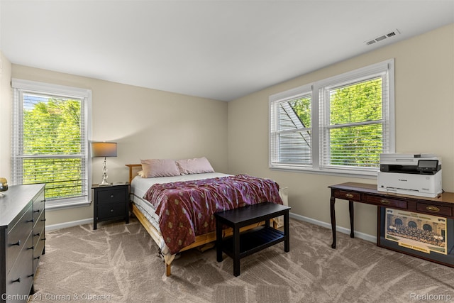 8309 Colony Dr Unit 22, Grosse Ile, MI 48138 - photo 25
