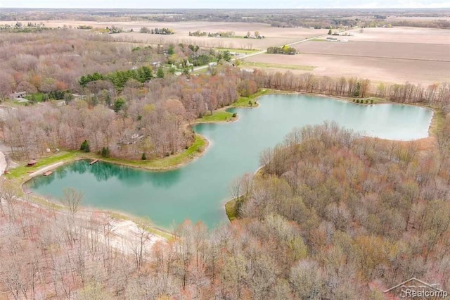 10731 Swan Creek Rd, Saginaw, MI 48609 - photo 58