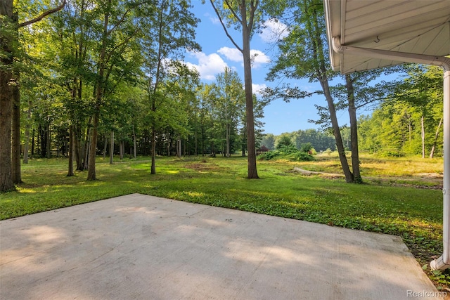10731 Swan Creek Rd, Saginaw, MI 48609 - photo 8