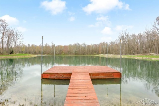 10731 Swan Creek Rd, Saginaw, MI 48609 - photo 46