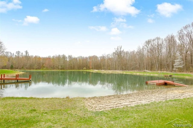 10731 Swan Creek Rd, Saginaw, MI 48609 - photo 45