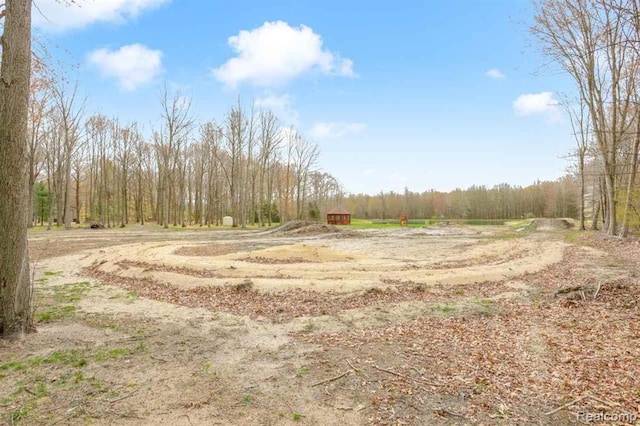 10731 Swan Creek Rd, Saginaw, MI 48609 - photo 42