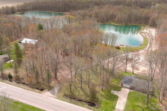 10731 Swan Creek Rd, Saginaw, MI 48609 - photo 53