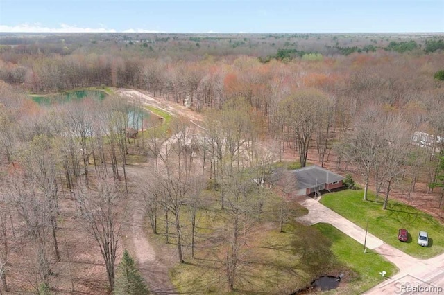 10731 Swan Creek Rd, Saginaw, MI 48609 - photo 52