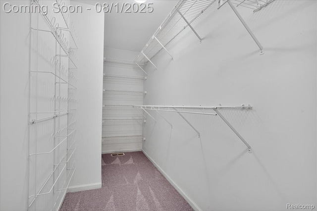 9695 Forest Ridge Dr, Clarkston, MI 48348 - photo 18