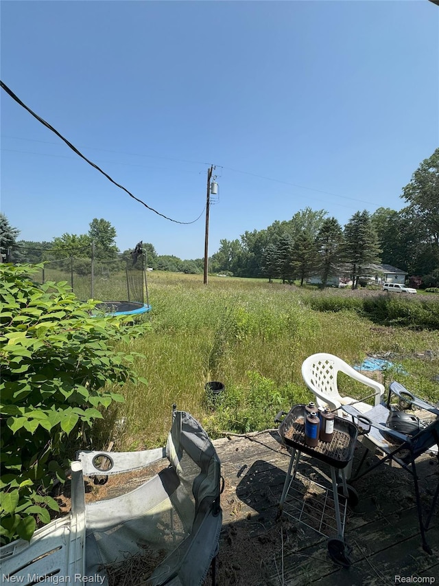 5407 Ostrom Rd, Attica, MI 48412 - view of yard with a trampoline