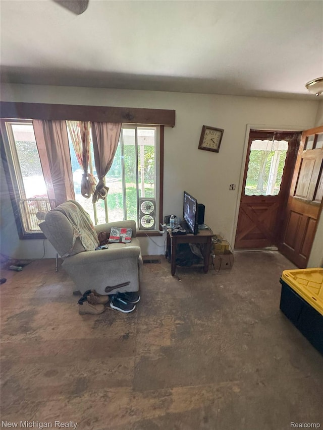 5407 Ostrom Rd, Attica, MI 48412 - living room featuring plenty of natural light