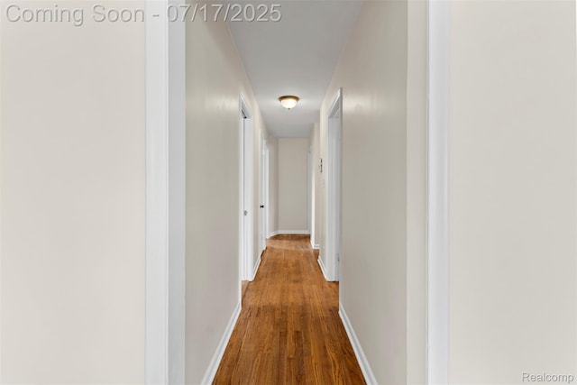 7235 Stout St, Detroit, MI 48228 - hall featuring dark wood finished floors and baseboards