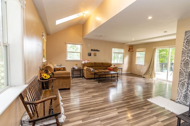 1193 Seneca St, Adrian, MI 49221 - living area with wood finished floors, a skylight, vaulted ceiling, and recessed lighting