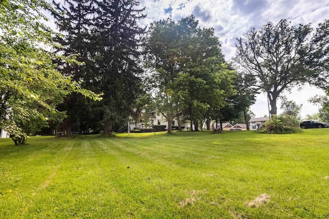 1193 Seneca St, Adrian, MI 49221 - view of green lawn