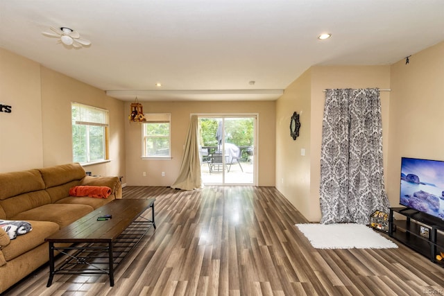 1193 Seneca St, Adrian, MI 49221 - living area featuring wood finished floors and recessed lighting