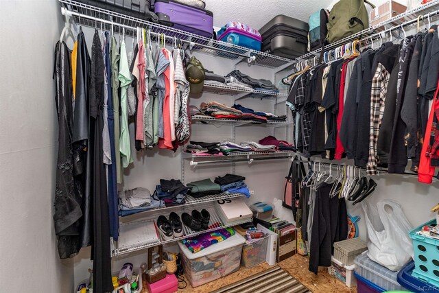 1193 Seneca St, Adrian, MI 49221 - view of walk in closet