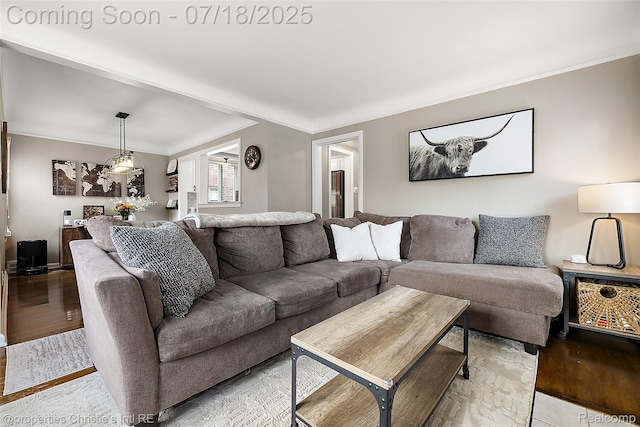 1816 Roslyn Rd, Grosse Pointe Woods, MI 48236 - living area featuring light wood-type flooring, a chandelier, and crown molding