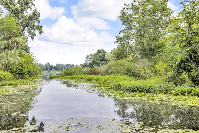 11585 Onsted Hwy, Brooklyn, MI 49230 - water view