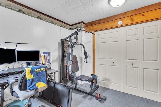 11585 Onsted Hwy, Brooklyn, MI 49230 - view of exercise area