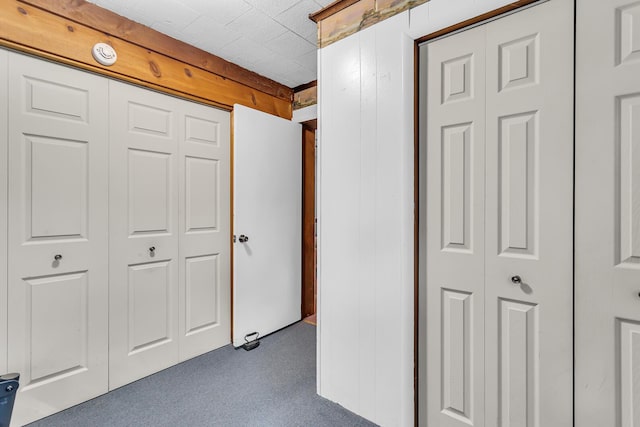 11585 Onsted Hwy, Brooklyn, MI 49230 - corridor featuring carpet flooring