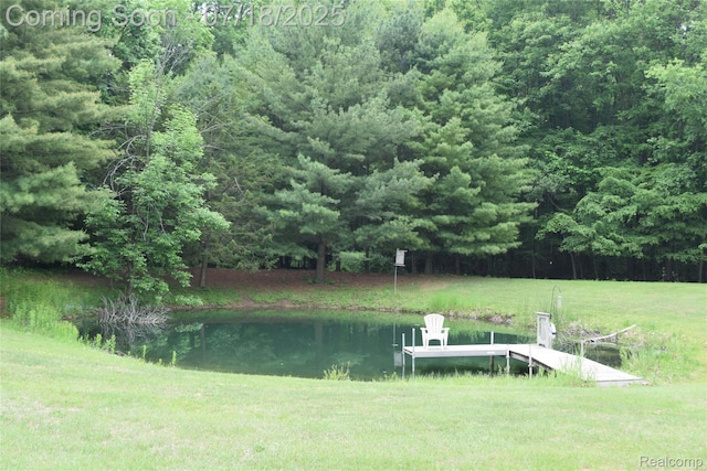 12263 Coldwater, Flushing, MI 48433 - photo 42