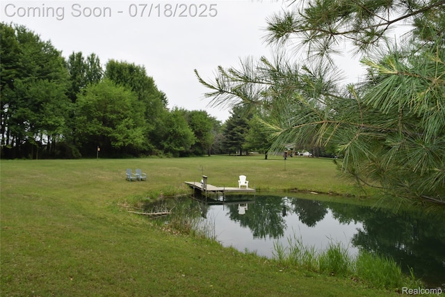 12263 Coldwater, Flushing, MI 48433 - photo 43