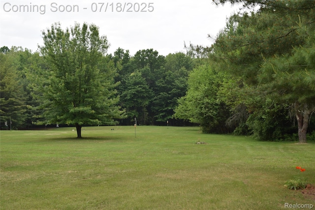 12263 Coldwater, Flushing, MI 48433 - photo 50