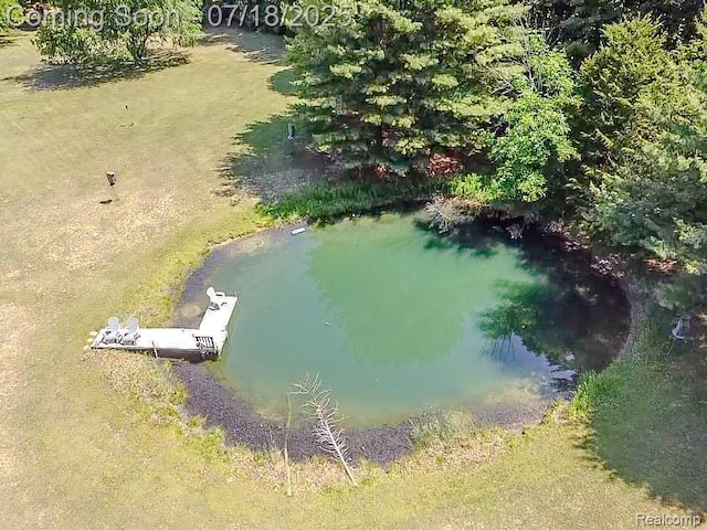 12263 Coldwater, Flushing, MI 48433 - photo 52