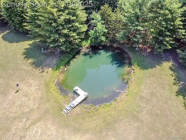 12263 Coldwater, Flushing, MI 48433 - photo 53