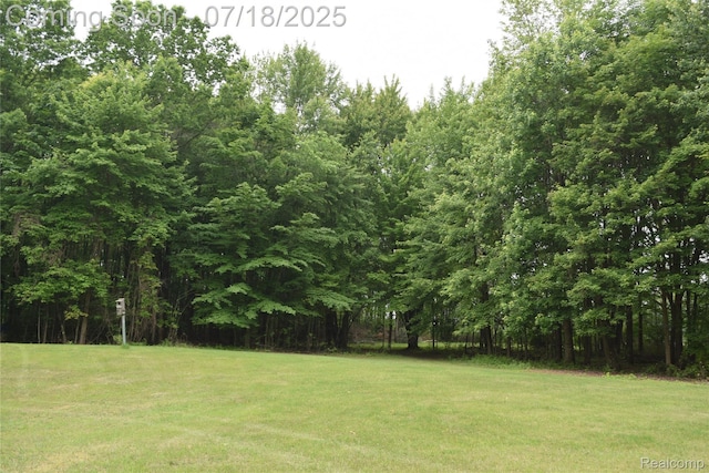 12263 Coldwater, Flushing, MI 48433 - photo 49
