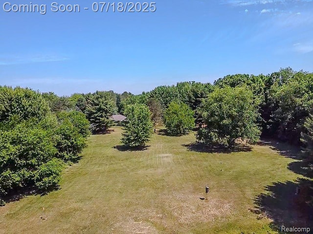 12263 Coldwater, Flushing, MI 48433 - photo 54