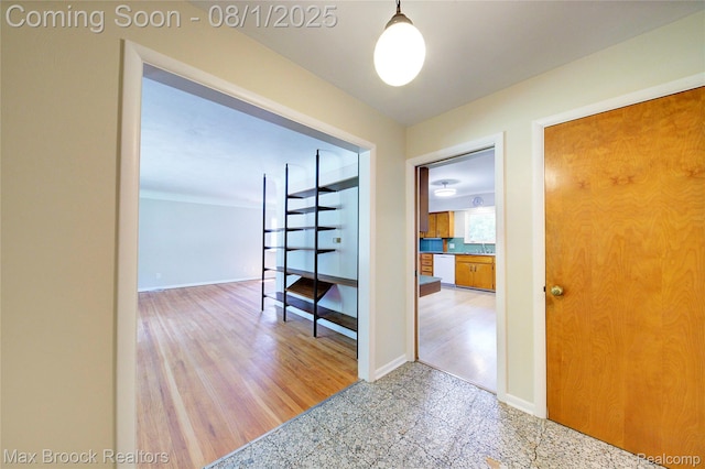 1827 Coronada St, Ann Arbor, MI 48103 - photo 8