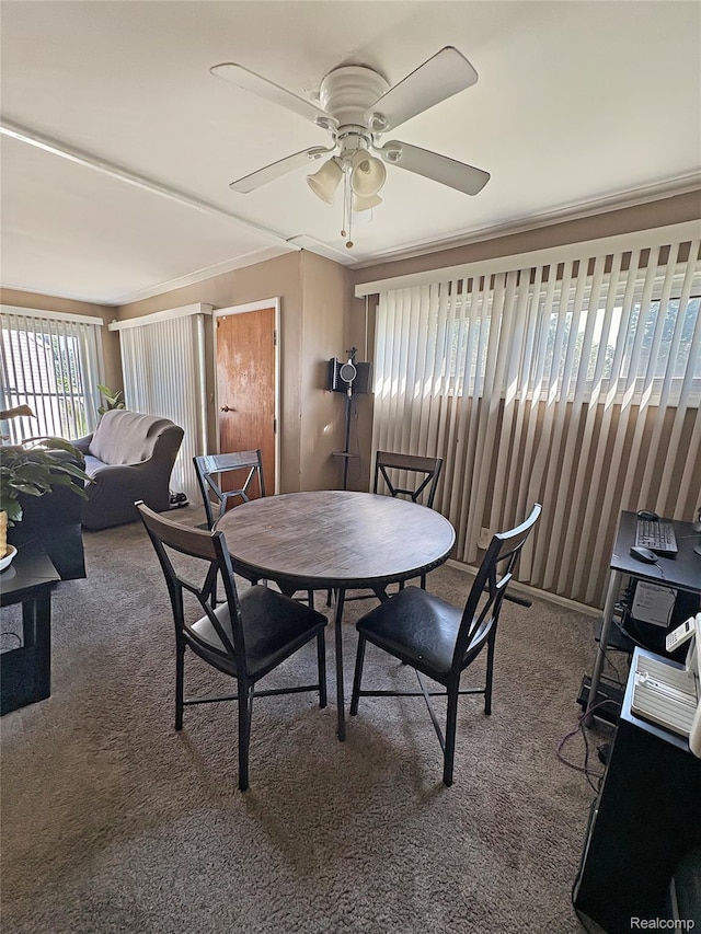 4222 Circle Dr, Flint, MI 48507 - photo 7