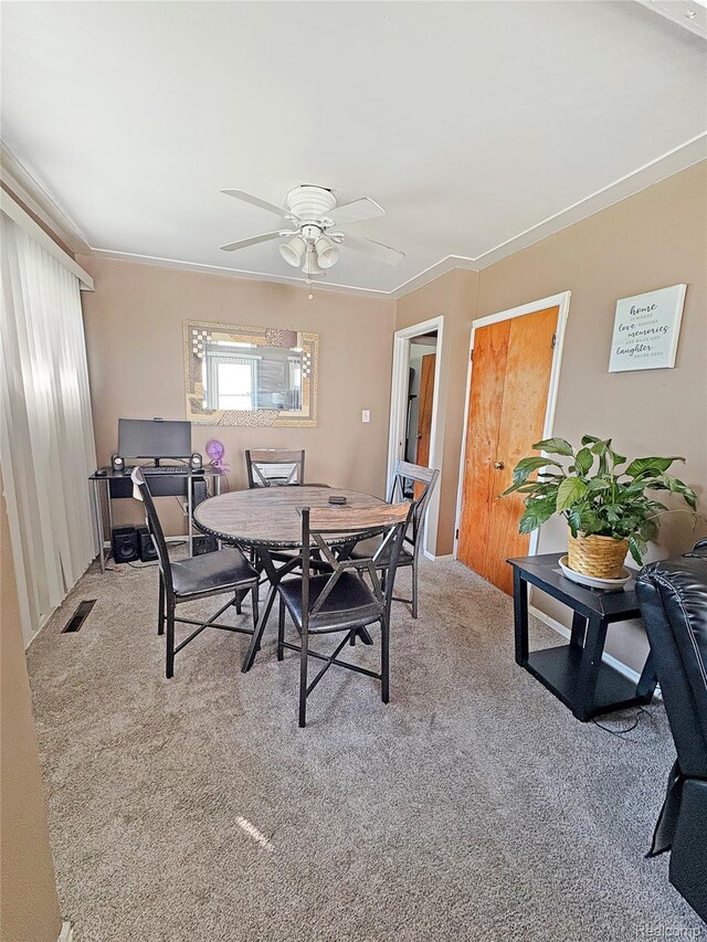 4222 Circle Dr, Flint, MI 48507 - photo 6
