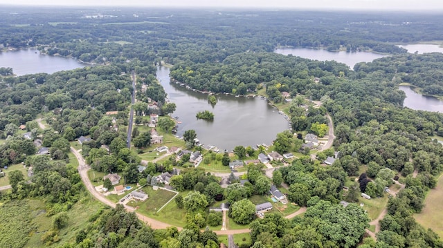 11745 N Waldron Rd, Jerome, MI 49249 - photo 41